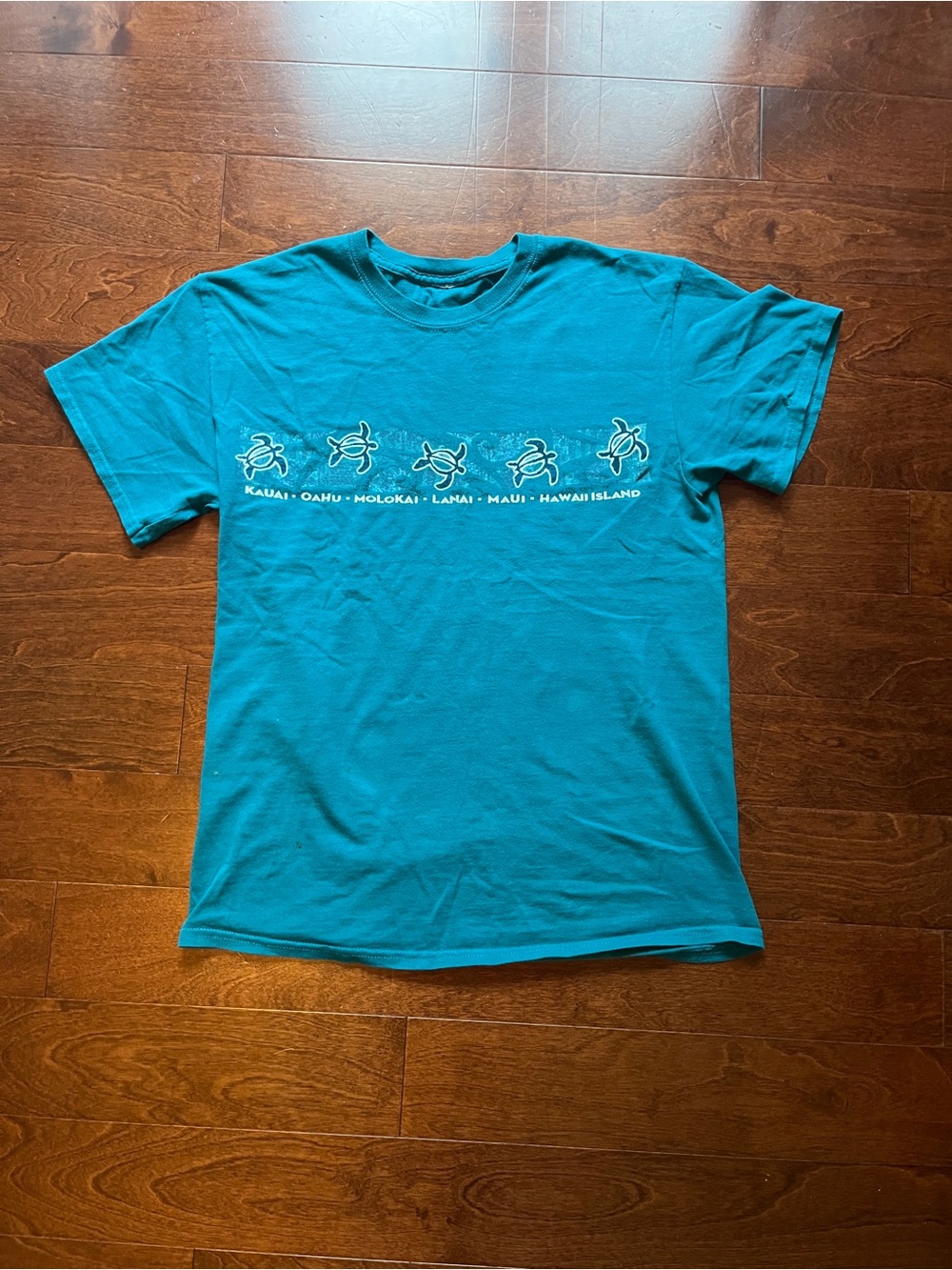 Women’s Vintage Teal Graphic T-Shirt